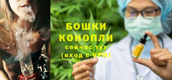 PSILOCYBIN Нея