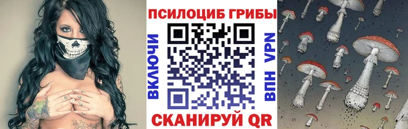 MEGA онион Александровск-Сахалинский Псилоцибиновые грибы Psilocybine cubensis как найти